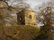 SDC12893