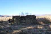 IMG-0593