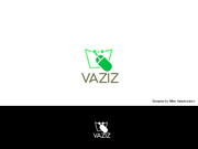 vaziz11