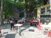 DSCN5319.jpg