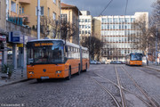 IMG-5347