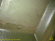 IMG-3462