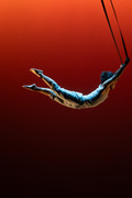 Begin-Again-photo-Elias-Sell-artist-Bailey-Luk