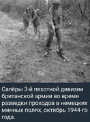 https://i.postimg.cc/Fd2CWbdw/photo-2026-08-19-20-21-25.jpg