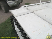 IMG-7806