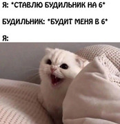 6728a28b0edfeca73d8fa66763b4b327.jpg
