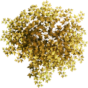 TADD_elements_Shimmer_Fall_30