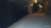 P-20201016-151653-p.jpg