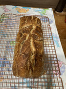 IMG-3981