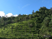 BBG&B23PasighatAndAalo - 6