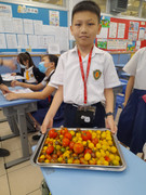 f8527ad0-5807-4d7e-a3a8-3af29c33e073