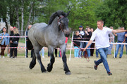 IMG-7356-wynik