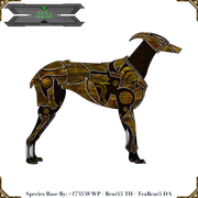 0012 - Majesty Máti Tígris - #302386