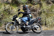 IMG-1395