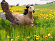 F488B14C-6BC7-475F-A456-C9A2A28FD9DC