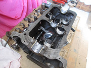IMG-5009.jpg