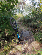 https://i.postimg.cc/FdHktgSQ/2019-09-30-14-45-54-Rochers-et-un-OTB-a-faisait-longtemps-So.png