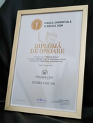 Premiul Mare