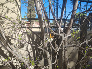 IMG-20260312-160642569-HDR