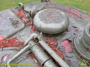 IMG-5135