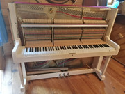 e27a21f0-8264-11ef-85d2-efe0d8013109