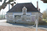 IMG-3587.jpg