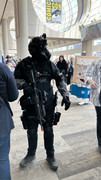 IMG-4397