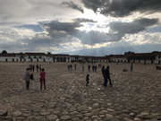 IMG-8483