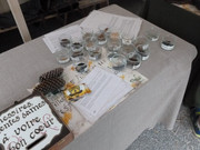 13450096_1189300231102347_6949895638320315065_n