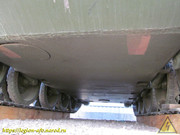IMG-3550