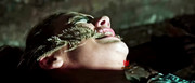 Rebecca-Wilkie-12-The-Redwood-Massacre-2014