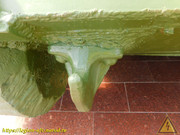 DSCN5301
