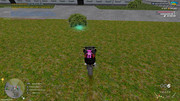 IMG-6969