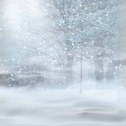Z-ATaste-Of-Winter-Papers-7