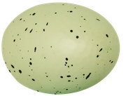 0-1c0101-ce93be67-orig