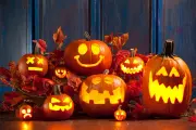 Pumpkins-0030