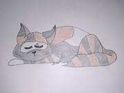 135440032_261737705297844_4557747432924387498_n