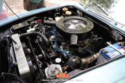 IMG-3761