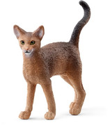 14 - Abessinian cat