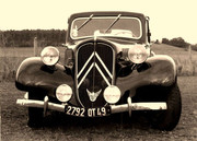 276989933-1000878797523982-6834608194624063329-n.jpg