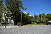 DSC-0081