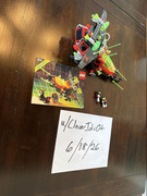 IMG-0379