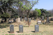 IMG-0845