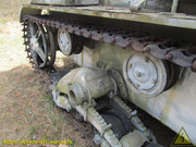 IMG-6381