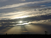 607_DSC01124_fiji_1200x900