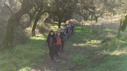 IMG-20260117-110250