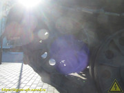 IMG-5442