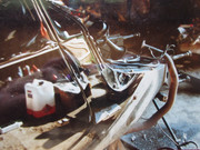 IMG-7819.jpg