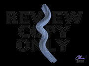 2833027730046342459oubLhi_fs