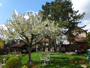 [Obrázky: DSC02547.jpg]